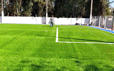 Explorando a beleza verde: projetando casas com jardins de grama sintética