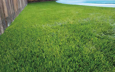 Tenha um espaço sempre verde com a grama sintética para quintal da Tudo Grama