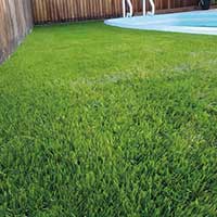 Tenha um espaço sempre verde com a grama sintética para quintal da Tudo Grama