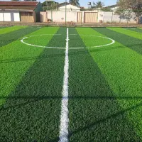 Grama sintética em Sergipe